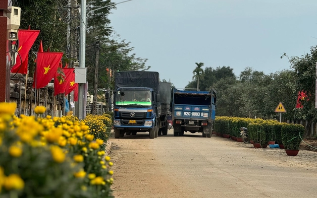 Làng hoa cúc lớn nhất miền Trung tấp nập ô tô "mang xuân" ra thị thành