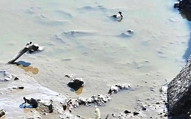 Phát hiện bộ xương người trong ao cá ở Hải Phòng