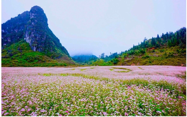 Lễ hội độc đáo nơi miền đá nở hoa