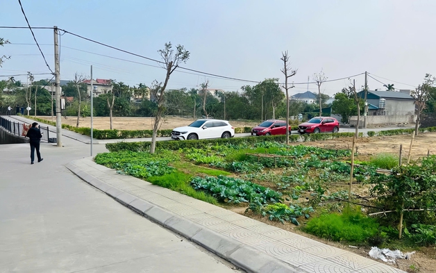 Cẩn trọng sốt đất ảo trước sáp nhập tỉnh, thành