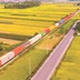 Cần thiết điều chỉnh quy hoạch mạng lưới, đầu tư sớm các tuyến đường sắt