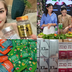 "Trải nghiệm cá nhân" không còn là "kim bài miễn tử" cho quảng cáo sai sự thật