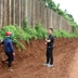 Đắk Lắk: Nghi vấn khai thác đất trái phép trên tuyến đường Ea Hồ - Tam Giang đang thi công