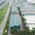 Hà Nội: Làm rõ thông tin dãy nhà liền kề cao tầng xây ngoài đê sông Đuống