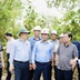 Đoàn công tác Quốc hội khảo sát thực địa dự án đường Hồ Chí Minh tại An Giang