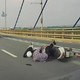 Xe máy gặp nạn vì lấn làn ô tô trên cầu Nhật Tân