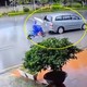 Cô gái vừa cầm ô vừa chạy xe nhận hậu quả khôn lường, camera bóc diễn biến